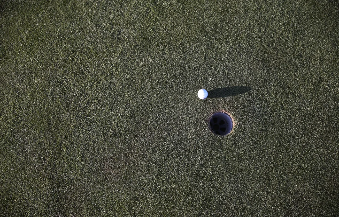 Detail hustě střiženého trávníku na golfovém hřišti