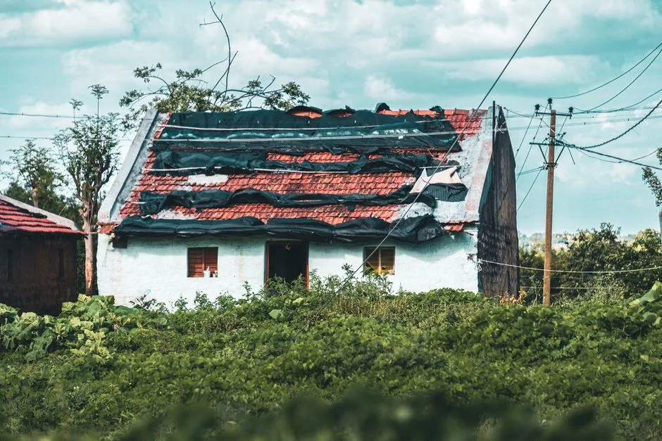 Ilustrační foto — střecha
