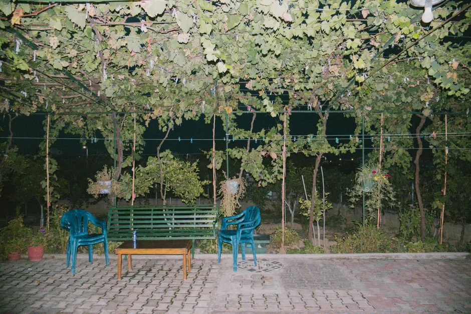 Ilustrační foto — terasa a pergola