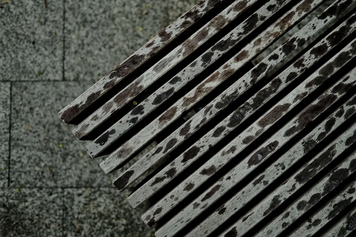 Detail zvětralého dřeva staré lavičky