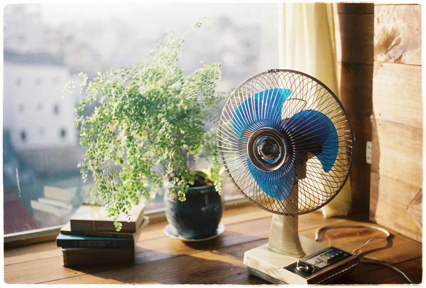 Retro stolní ventilátor u okna vedle rostliny