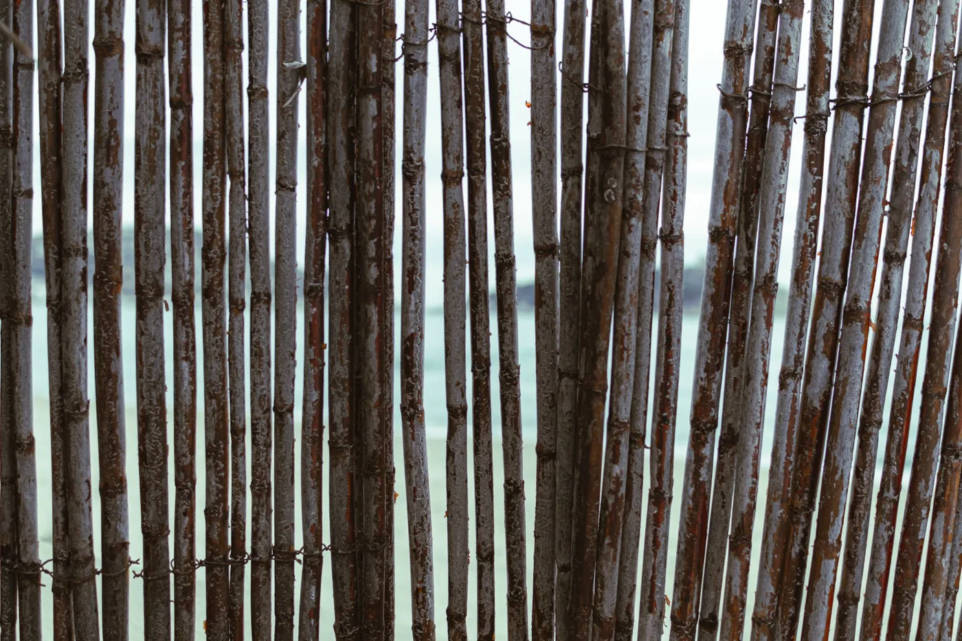 Detail pletené zástěny z rákosu