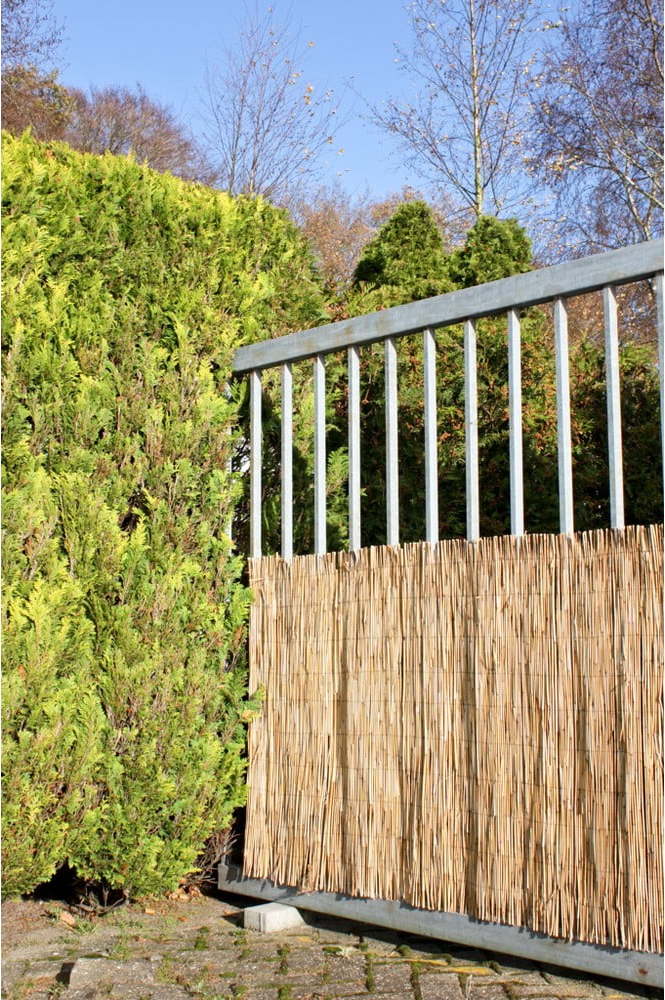 Balkonová zástěna z proutí v přírodní barvě 300x100 cm – Garden Pleasure