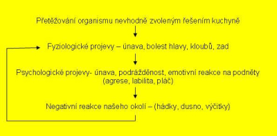 Fyziologie člověka při zařizování kuchyně