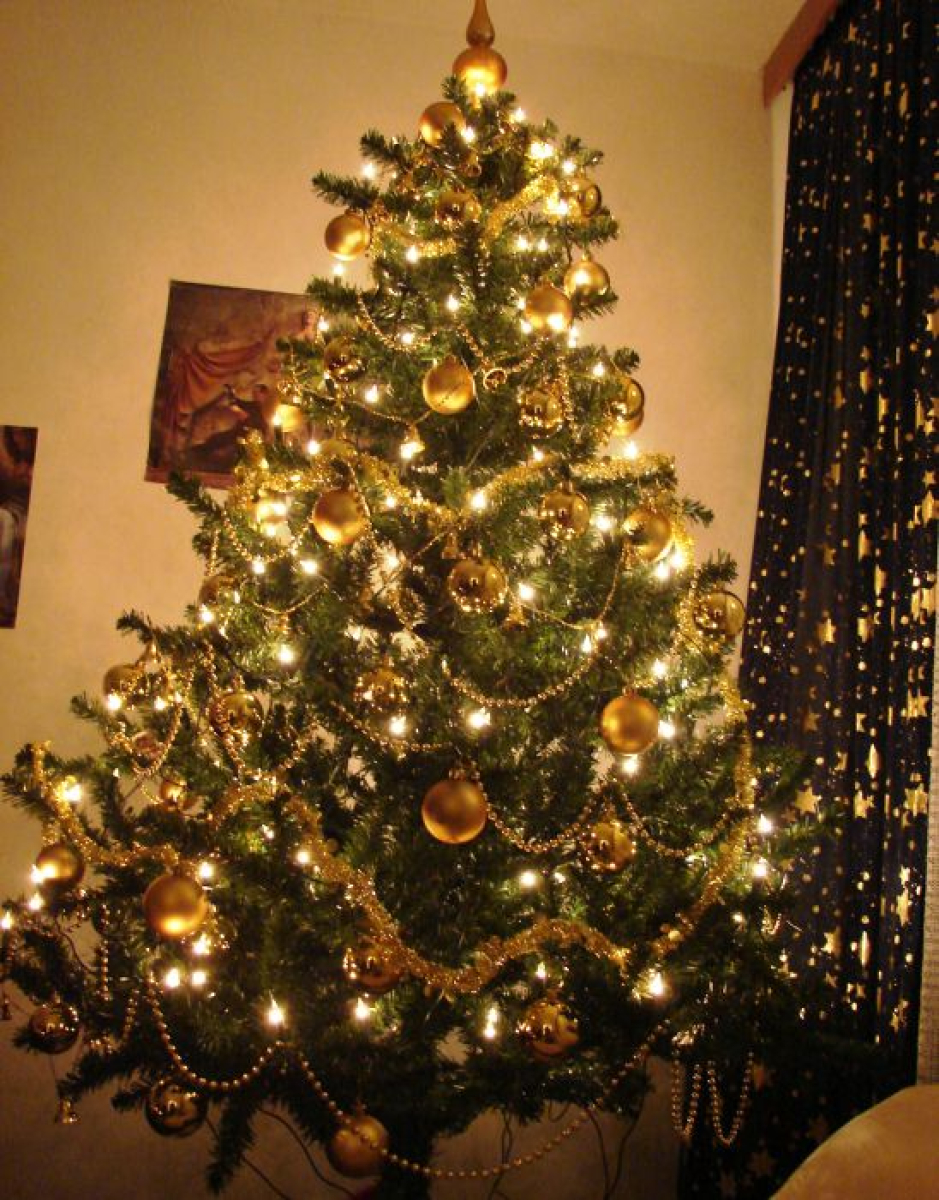 Výsledky soutěže o nejkrásnější Vánoční stromeček 2007!