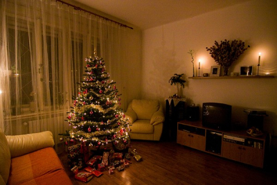 Výsledky soutěže o nejhezčí vánoční stromeček 2009